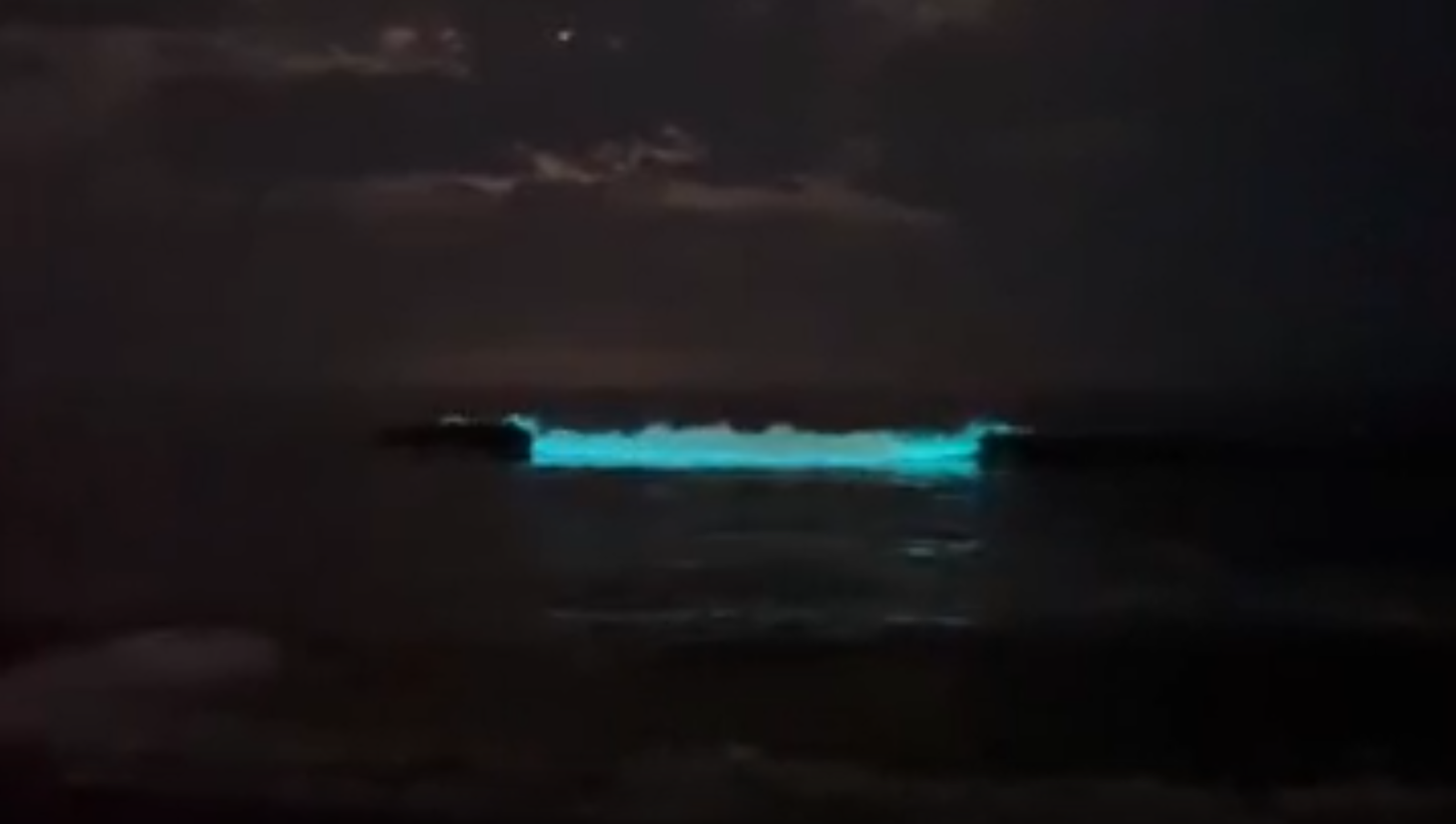 Watch: Striking bioluminescent waves light up Chennai beach at night